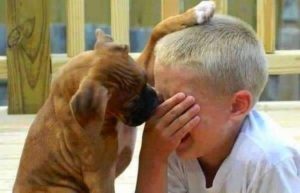 cane- e bimbo che piange